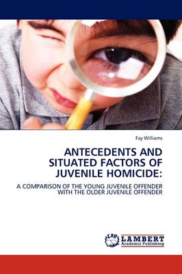 Antecedents and Situated Factors of Juvenile Homicide (Paperback)