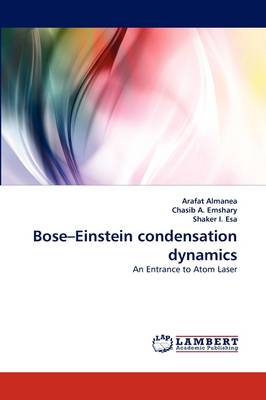 Bose-Einstein Condensation Dynamics (Paperback)