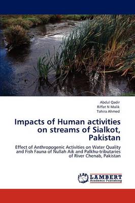 Impacts of Human Activities on Streams of Sialkot, Pakistan (Paperback)