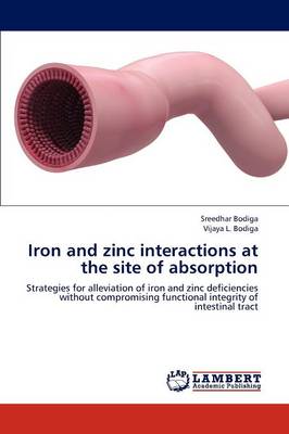 Iron and Zinc Interactions at the Site of Absorption (Paperback)