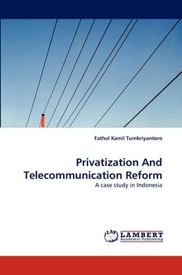 Privatization and Telecommunication Reform (Paperback)