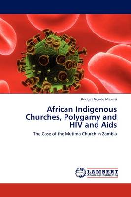 African Indigenous Churches, Polygamy and HIV and AIDS (Paperback)