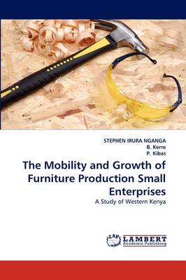 The Mobility and Growth of Furniture Production Small Enterprises (Paperback)
