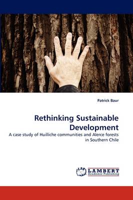 Rethinking Sustainable Development (Paperback)