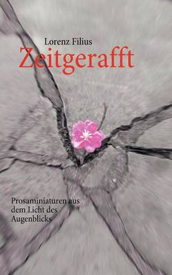 Zeitgerafft (Paperback)