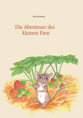 Die Abenteuer Des Kleinen Finn (Paperback)