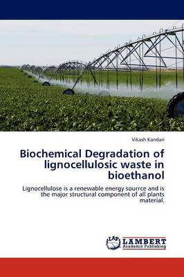 Biochemical Degradation of Lignocellulosic Waste in Bioethanol (Paperback)
