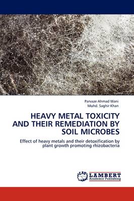Heavy Metal Toxicity and Their Remediation by Soil Microbes (Paperback)