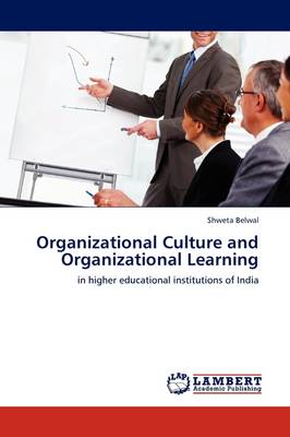 Organizational Culture and Organizational Learning (Paperback)