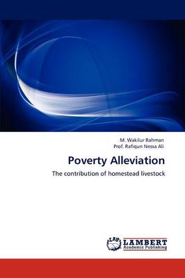 Poverty Alleviation (Paperback)