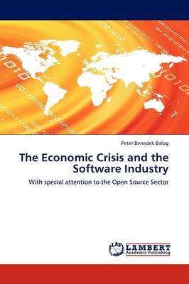 The Economic Crisis and the Software Industry (Paperback)