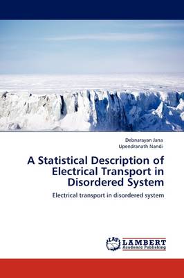 A Statistical Description of Electrical Transport in Disordered System (Paperback)