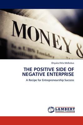 The Positive Side of Negative Enterprise (Paperback)