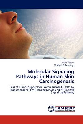 Molecular Signaling Pathways in Human Skin Carcinogenesis (Paperback)