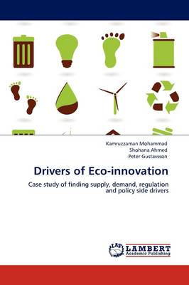 Drivers of Eco-Innovation (Paperback)