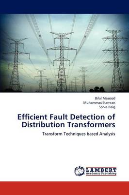 Efficient Fault Detection of Distribution Transformers (Paperback)