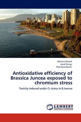 Antioxidative Efficiency of Brassica Juncea Exposed to Chromium Stress (Paperback)