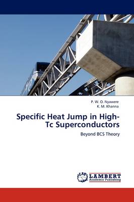 Specific Heat Jump in High-Tc Superconductors (Paperback)