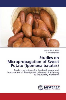Studies on Micropropagation of Sweet Potato (Ipomoea Batatas) (Paperback)