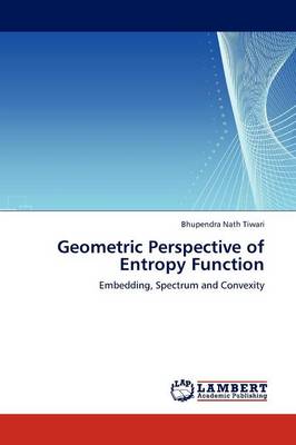 Geometric Perspective of Entropy Function (Paperback)