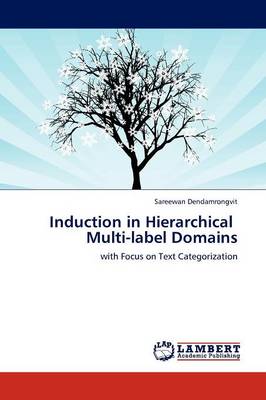 Induction in Hierarchical Multi-Label Domains (Paperback)