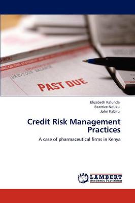 Credit Risk Management Practices (Paperback)