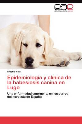 Epidemiologia y Clinica de la Babesiosis Canina En Lugo (Paperback)