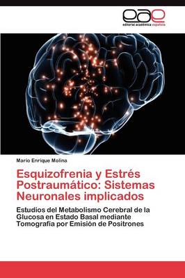 Esquizofrenia y Estres Postraumatico: Sistemas Neuronales Implicados (Paperback)