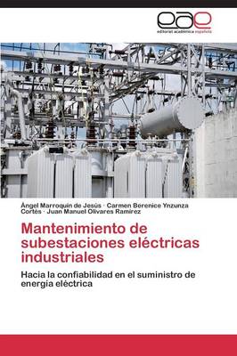 Mantenimiento de Subestaciones Electricas Industriales (Paperback)