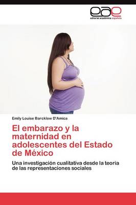 El Embarazo y La Maternidad En Adolescentes del Estado de Mexico (Paperback)