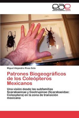 Patrones Biogeograficos de Los Coleopteros Mexicanos (Paperback)