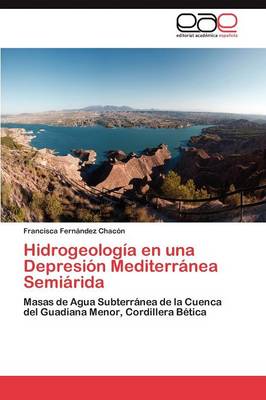 Hidrogeologia En Una Depresion Mediterranea Semiarida (Paperback)