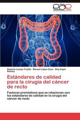 Estandares de Calidad Para La Cirugia del Cancer de Recto (Paperback)