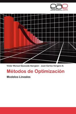 Metodos de Optimizacion (Paperback)