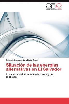 Situacion de Las Energias Alternativas En El Salvador (Paperback)