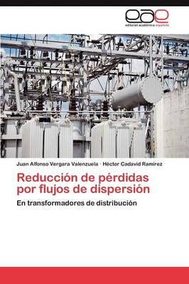 Reduccion de Perdidas Por Flujos de Dispersion (Paperback)