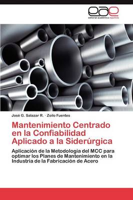 Mantenimiento Centrado En La Confiabilidad Aplicado a la Siderurgica (Paperback)
