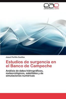 Estudios de Surgencia En El Banco de Campeche (Paperback)