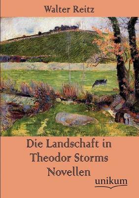 Die Landschaft in Theodor Storms Novellen (Paperback)
