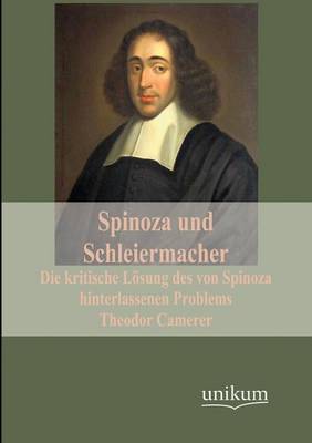 Spinoza Und Schleiermacher (Paperback)