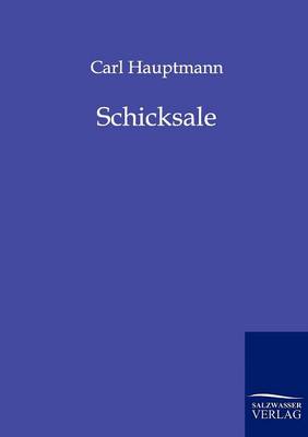 Schicksale (Paperback)