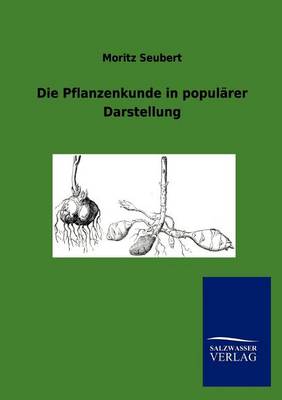 Die Pflanzenkunde in Popul Rer Darstellung (Paperback)