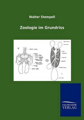 Zoologie Im Grundriss (Paperback)