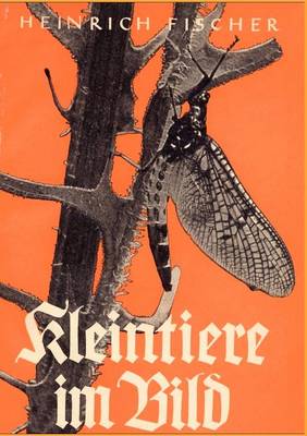 Kleintiere Im Bild (Paperback)