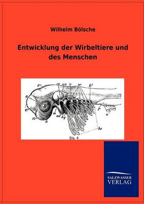 Entwicklung Der Wirbeltiere Und Des Menschen (Paperback)