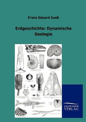 Erdgeschichte: Dynamische Geologie (Paperback)