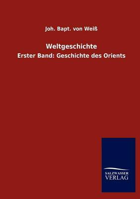 Weltgeschichte (Paperback)