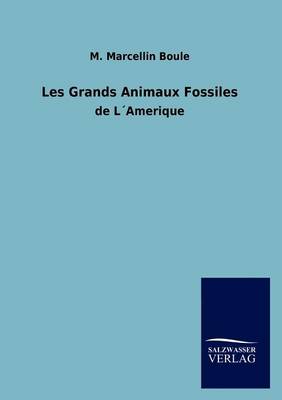 Les Grands Animaux Fossiles (Paperback)