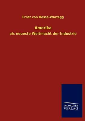 Amerika (Paperback)