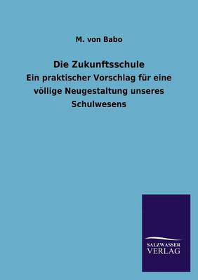 Die Zukunftsschule (Paperback)